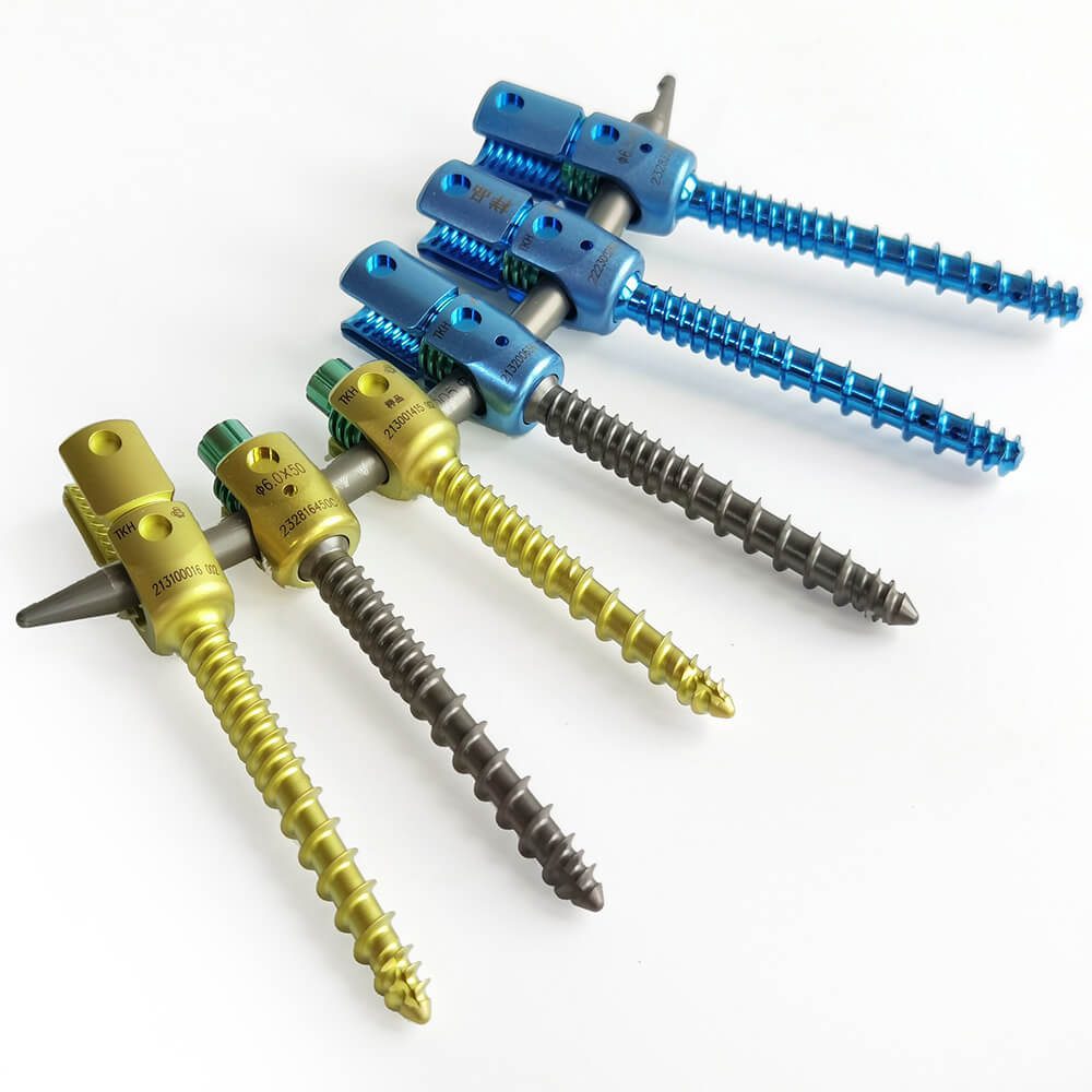 Pedicle screw posterior thoracolumbar fixation system