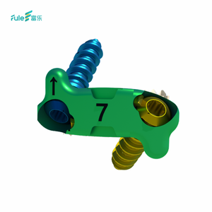 Competitive Price CE/ISO Titanium/PEEK Anterior Interbody Fusion Cage