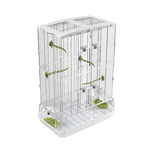 Custom OEM PEEK Interbody Fusion OLIF Cage System