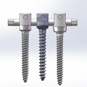 Titanium CoxII Orthopedic Surgery Implant