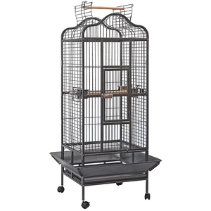 High-Strength PEEK Cervical & Lumbar Interbody Cage Series