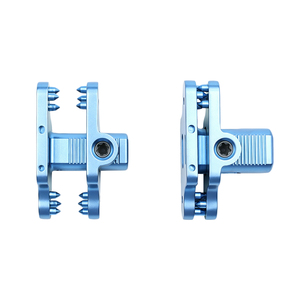 Titanium Spinous Process Fusion Plate
