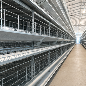 H Type Gabon Libreville Large Farm 30000 Birds qianmu One Stop Poultry Solution