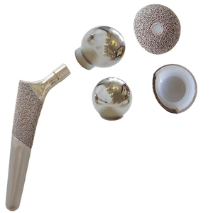 Hip Replacement Instruments Veterinary Orthopedic Hip Implant