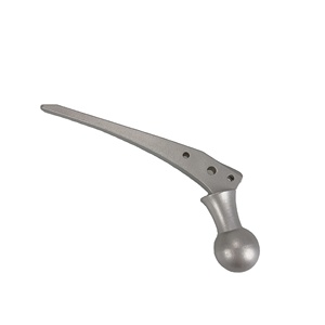 Customized Hip Prosthesis
