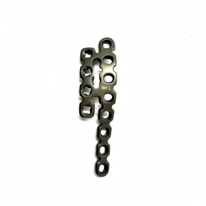 Titanium Custom Posterior Pelvis Plate