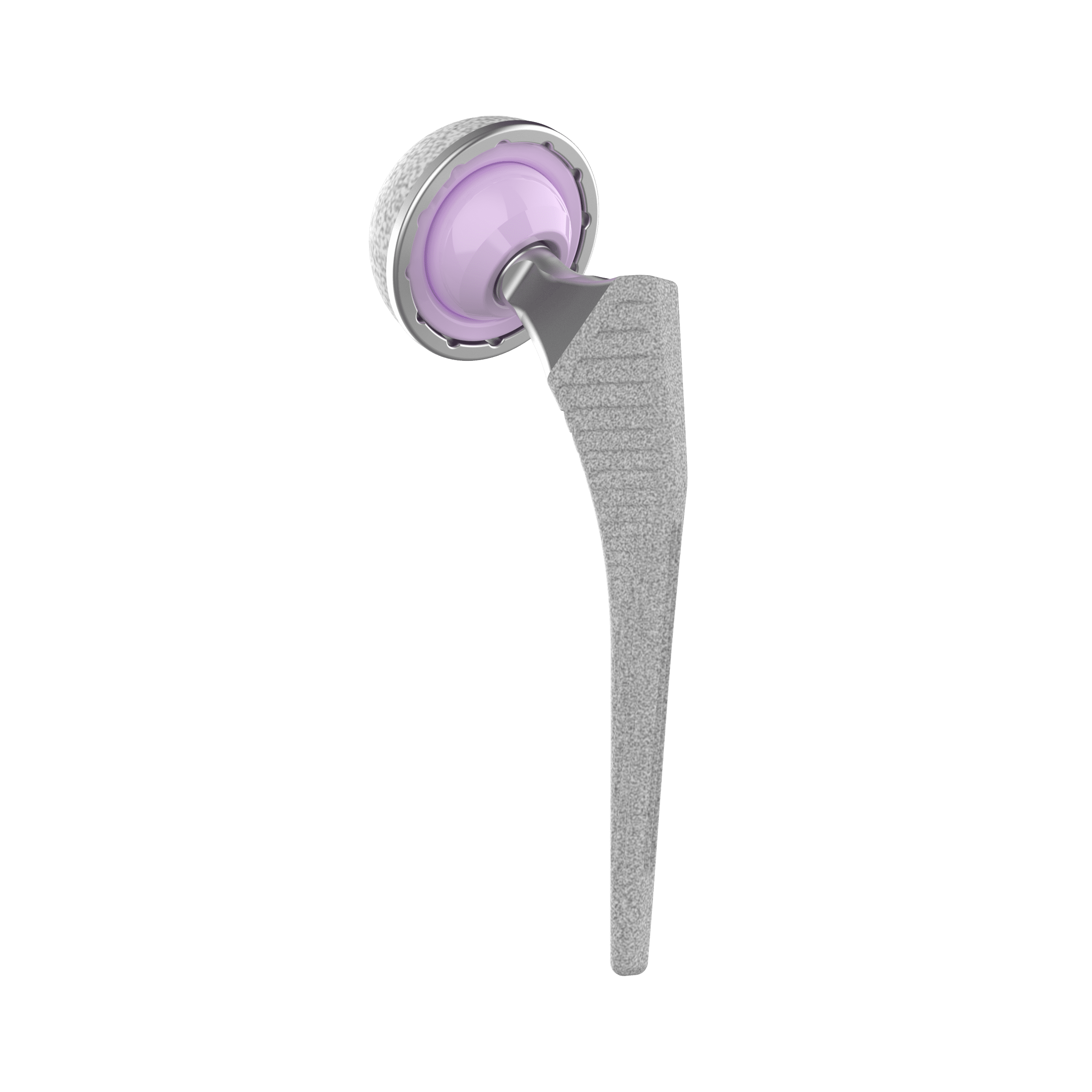 Collared Femoral Stem Cementless Primary Hip Replacement
