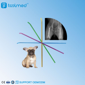 Orthopedic Elastic Titanium Intramedullary Nail