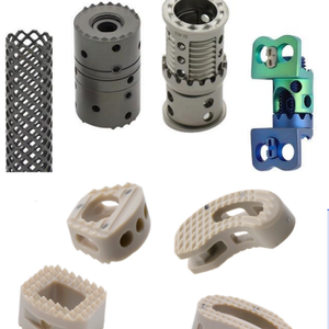 Spine Expandable Titanium Mesh Cage ALIF TPAL PLIF OLIF TLIF PEEK Cage