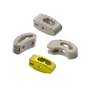 Orthopedic Spinal Titanium Fusion Cage Implant