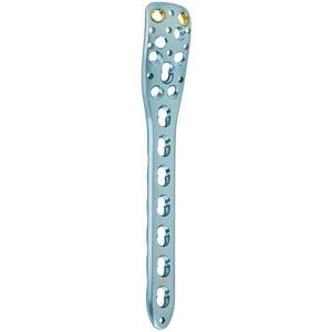 Animal Plate OEM Bone Block Screw Orthopedic Implant Factory