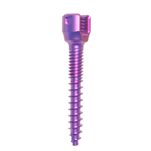 Polyaxial Spine Titanium Pedicle Screws System