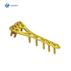 VA Distal Radius Locking Plate System