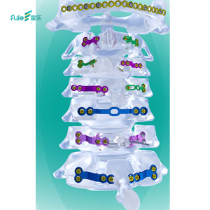 Titanium Spine Surgery Systems Posterior Cervical