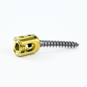 Spine Titanium Polyaxial Reduction Spine Screw
