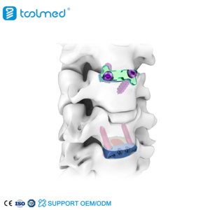 Lumbar Spinal Fixation System PEEK Cage