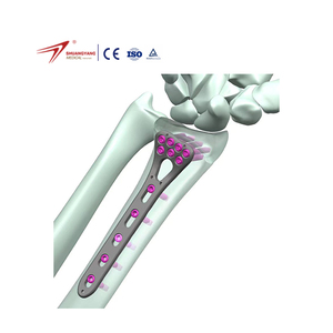 Multi-axial Distal Radius Locking Plate System