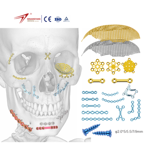 Shuangyang Medical Maxillofacial Cranial Titanium Mesh